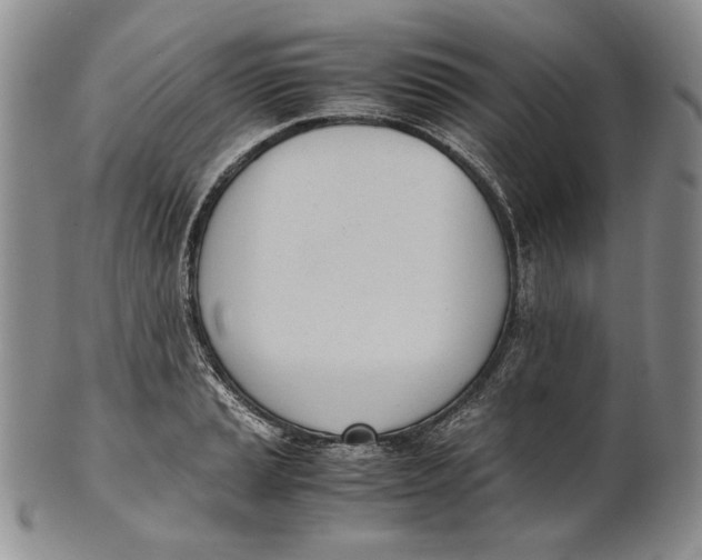 X0000100771037200807101746
