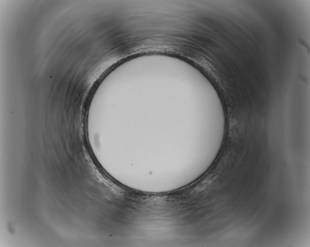 X0000100771038200807101746