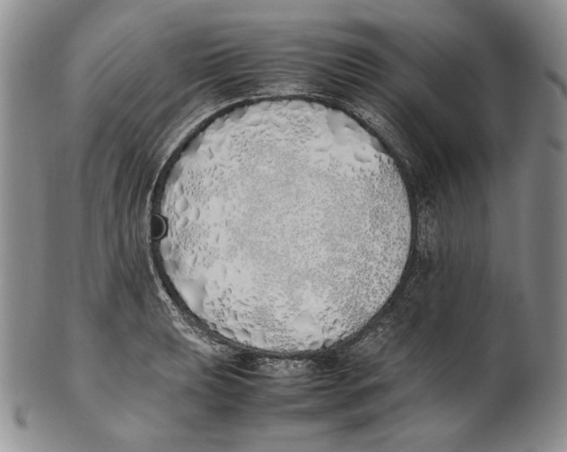 X0000100771039200807101746