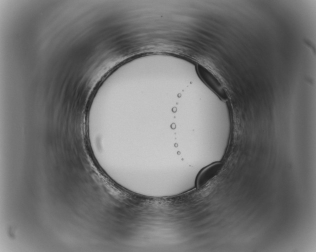 X0000100771040200807101746