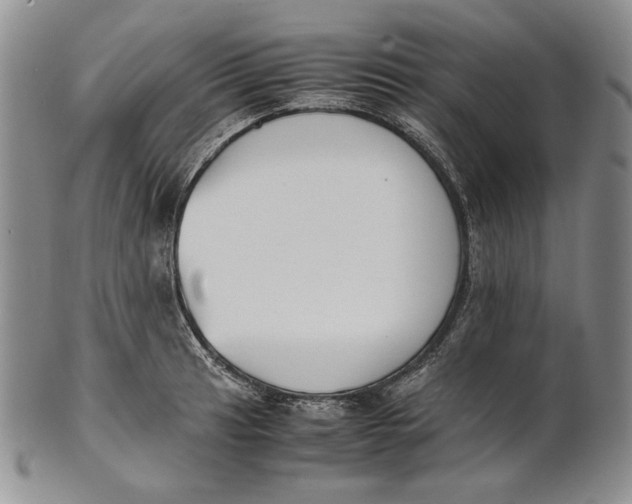 X0000100771041200807101746