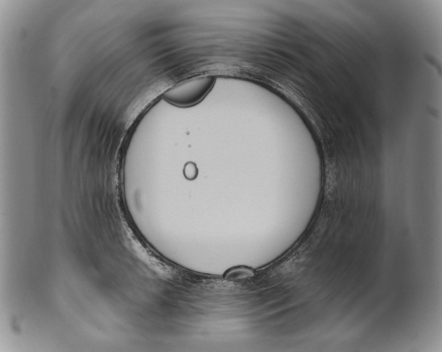 X0000100771042200807101746
