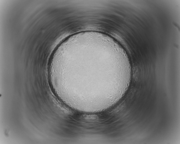 X0000100771043200807101746