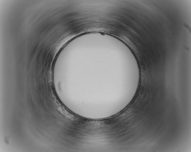 X0000100771044200807101746