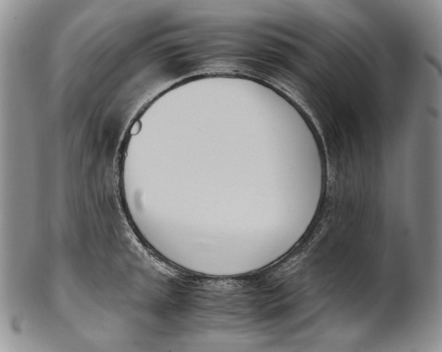 X0000100771045200807101746