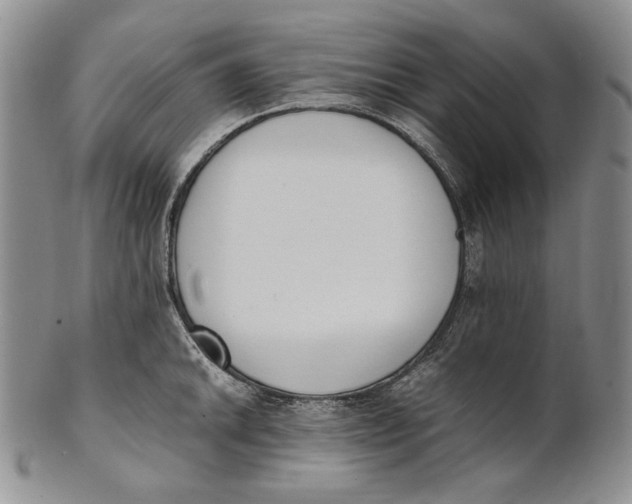 X0000100771046200807101746