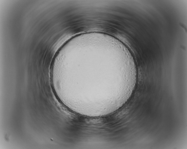 X0000100771047200807101746