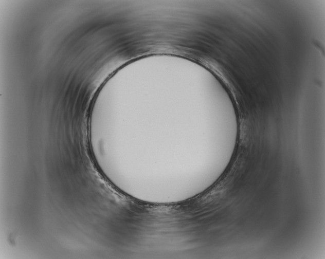 X0000100771048200807101746