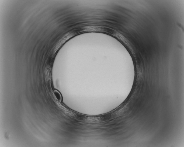 X0000100771049200807101746