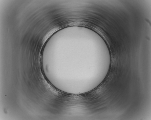 X0000100771050200807101746