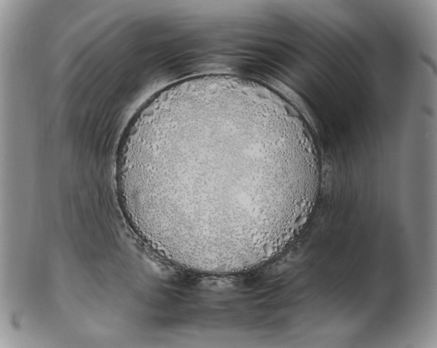X0000100771051200807101746