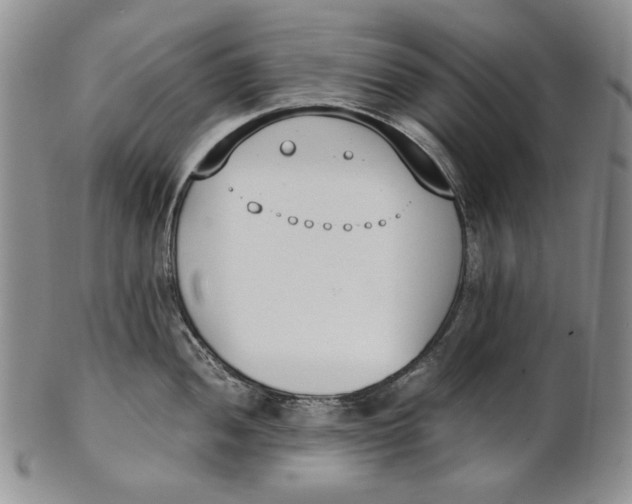 X0000100771052200807101746