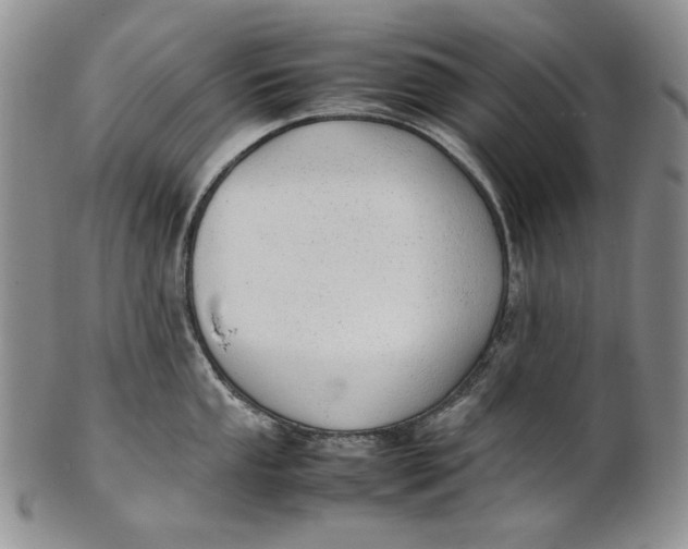 X0000100771053200807101746
