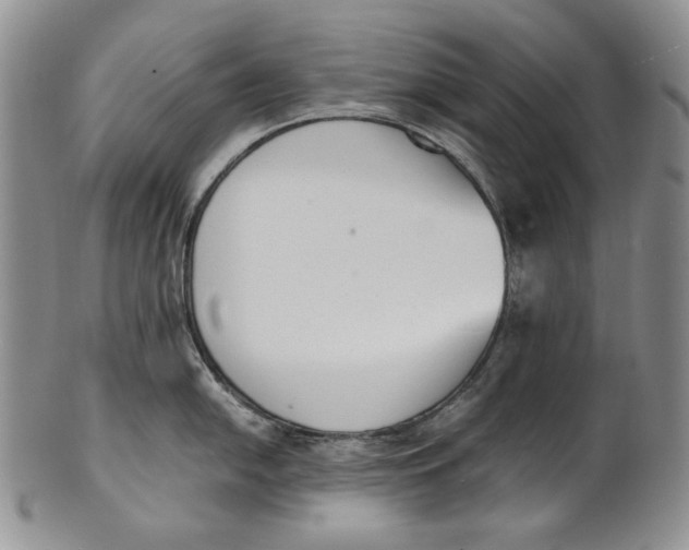 X0000100771054200807101746