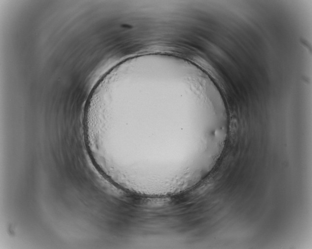 X0000100771055200807101746