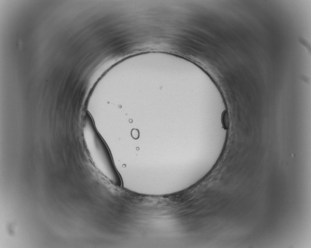 X0000100771056200807101746
