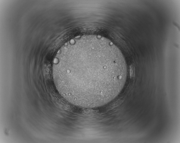 X0000100771059200807101746