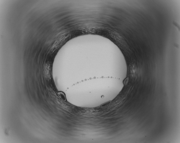 X0000100771060200807101746