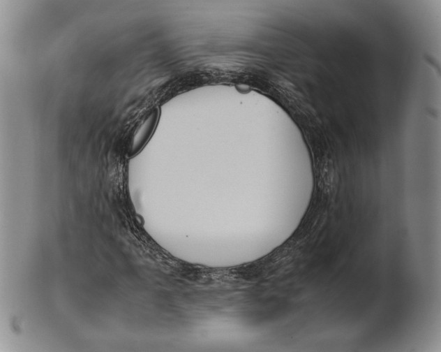 X0000100771061200807101746