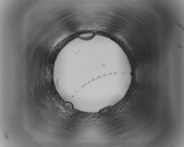 X0000100771064200807101746