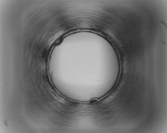 X0000100771065200807101746