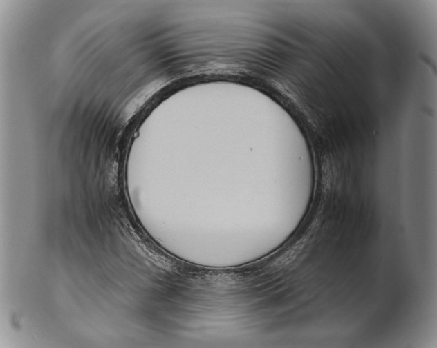 X0000100771066200807101746