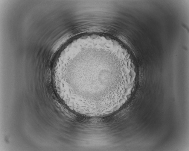 X0000100771067200807101746