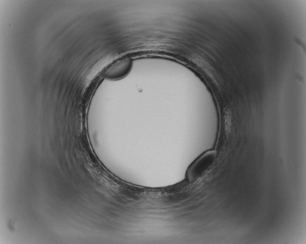X0000100771069200807101746