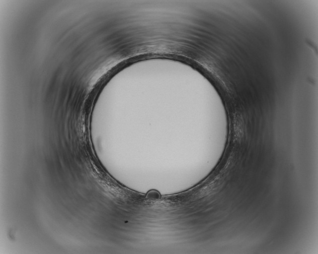 X0000100771070200807101746