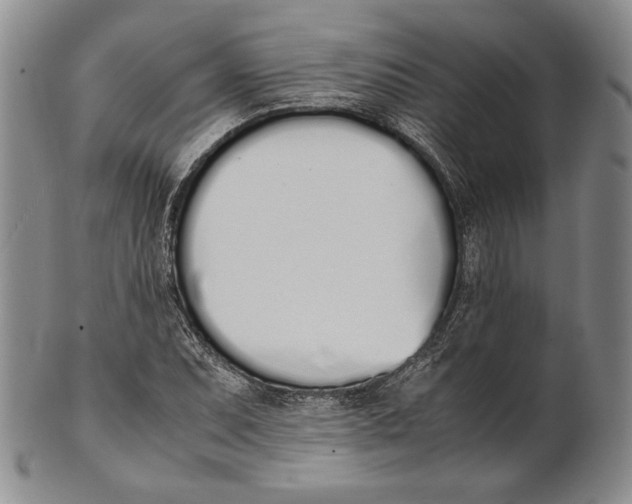 X0000100771071200807101746