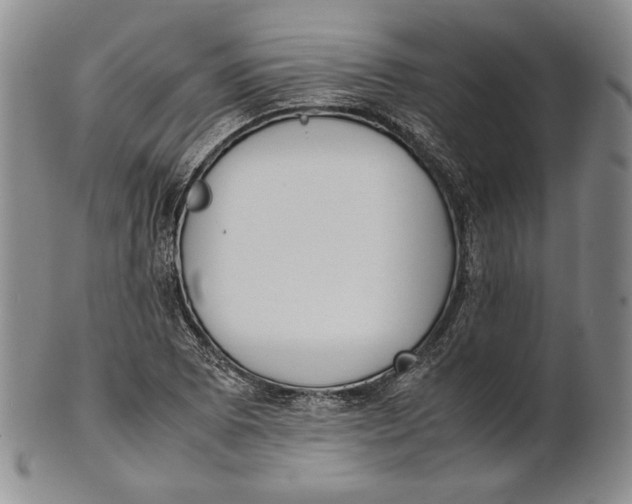 X0000100771073200807101746