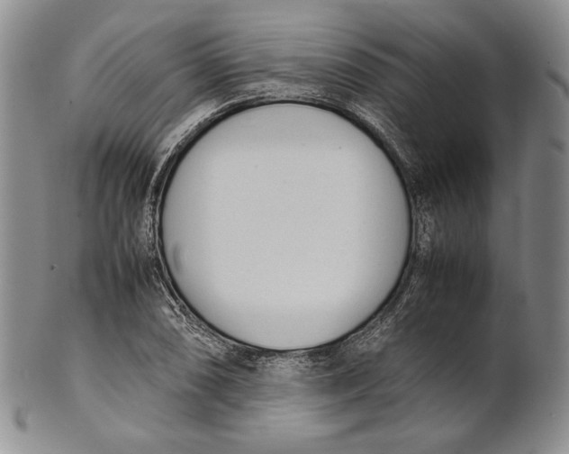 X0000100771074200807101746