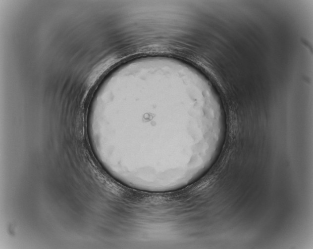 X0000100771075200807101745