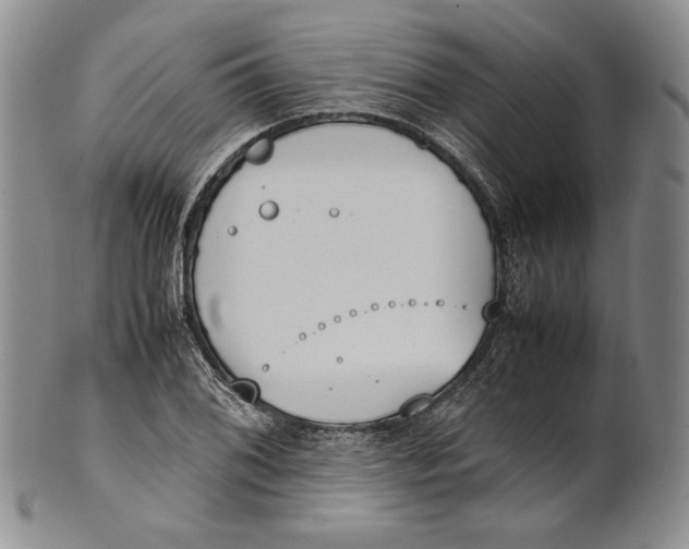 X0000100771076200807101745