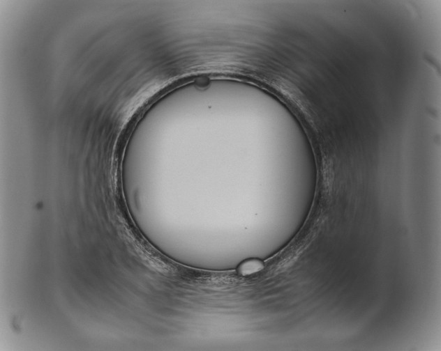 X0000100771077200807101745
