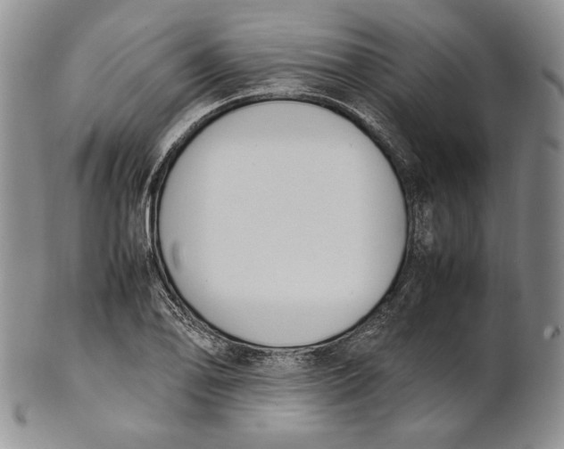 X0000100771078200807101745