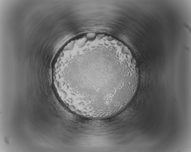 X0000100771079200807101745