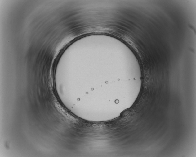 X0000100771080200807101745