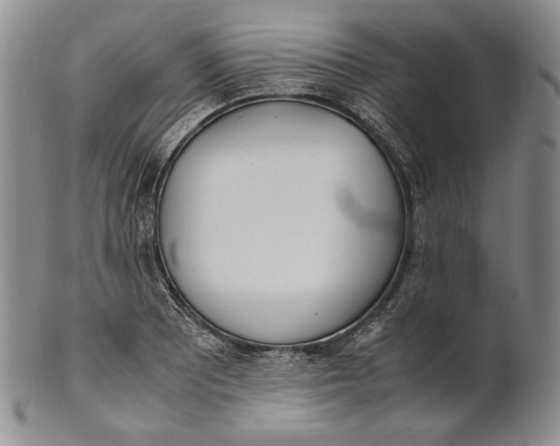 X0000100771081200807101745