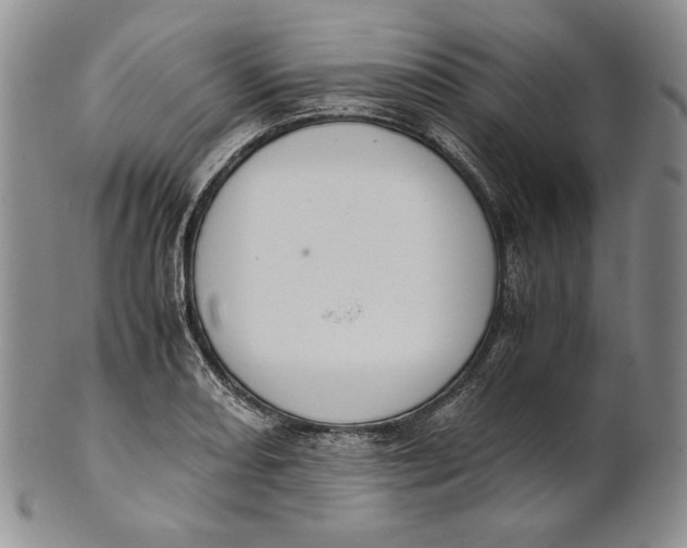 X0000100771082200807101745