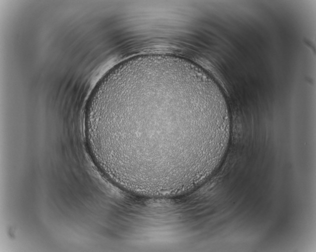 X0000100771083200807101745