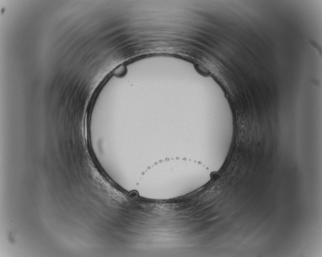 X0000100771084200807101745