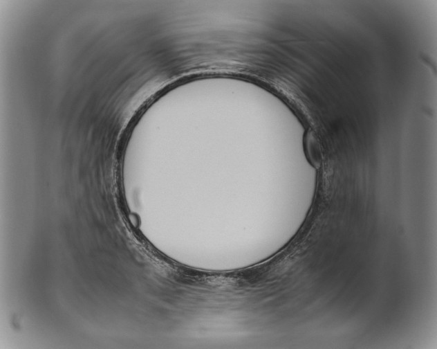 X0000100771085200807101745