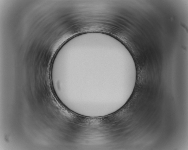 X0000100771086200807101745