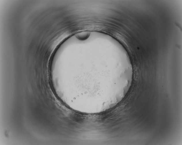 X0000100771087200807101745