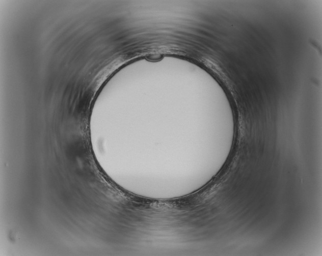 X0000100771089200807101745