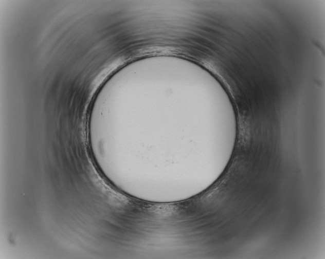 X0000100771090200807101745