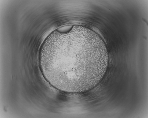 X0000100771091200807101745