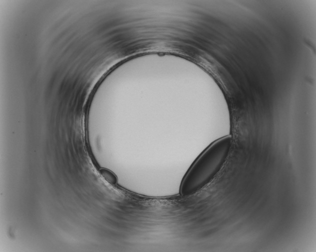 X0000100771092200807101745