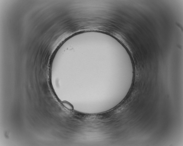 X0000100771093200807101745
